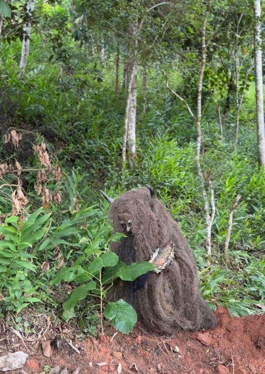 Plantio coletivo marca novo capítulo da Sociedade do Pelznickel no Parque Municipal